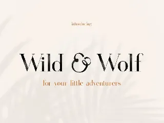 Gorgeous Serif Font