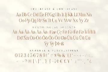 Elitista Modelista - Font Duo