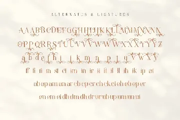 Elitista Modelista - Font Duo