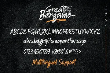 Great Bergamo font