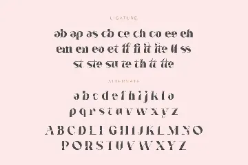 Notted font