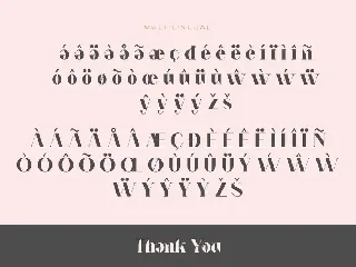 Notted font