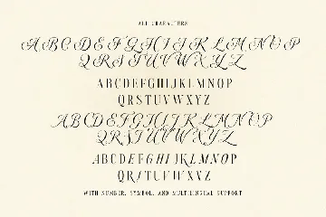 Androgy Display font