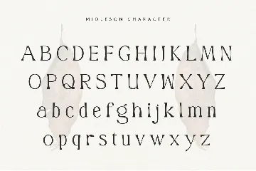 Midleson font