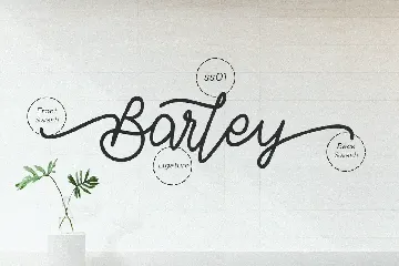 Barley font