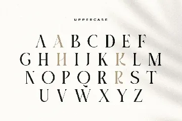 Gallery - Modern Beauty Ligature Serif font