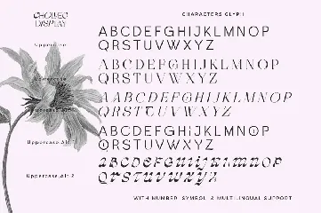 Cholleo Display font