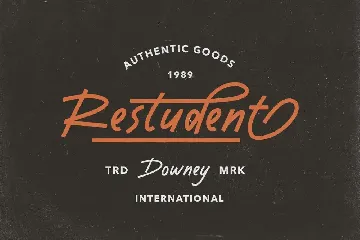 Dustyland Script font