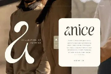 Voyage - Modern Classy Serif Font