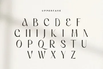 Voyage - Modern Classy Serif Font