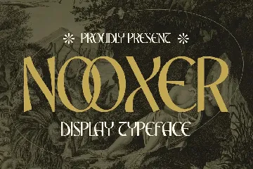 Nooxer Display Typeface Font