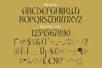 Nooxer Display Typeface Font