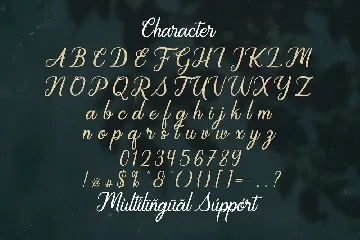 Regalhisa - Calligraphy Font