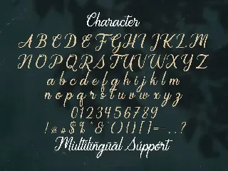 Regalhisa - Calligraphy Font