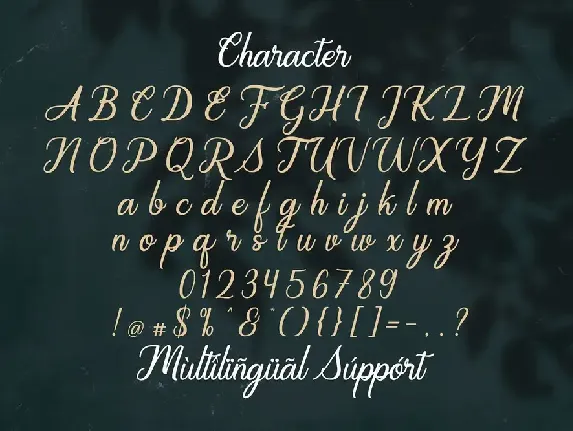 Regalhisa - Calligraphy Font