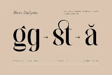 Biens Dailymo - Modern Serif Typeface font