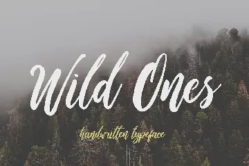 Wild Ones font