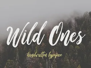 Wild Ones font