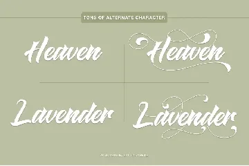 Spotless Hattaway - Calligraphy font