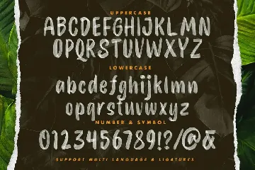 Festine font