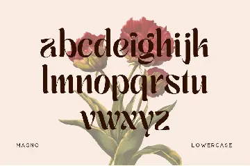 Magno - Vintage Font