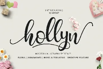 Hollyn Script font