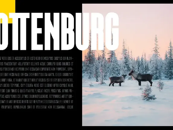 Ottenburg Display Typeface font