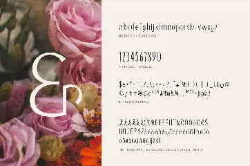 Retrago - Elegant Display font