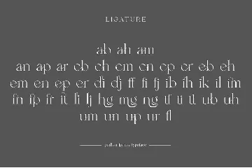 Garlien Ligature Serif Font