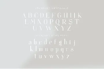 Aigner font