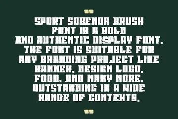 Sport Sobenor Brush font