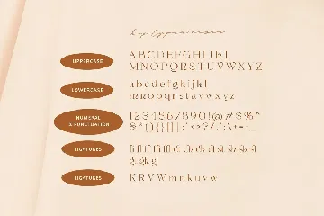 Shagaina - Elegant Aesthetic Serif - Lovely Font