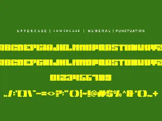 Sport Record Brush font