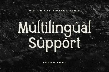 Bogem - Historical Vintage Serif font