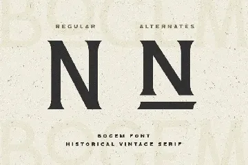 Bogem - Historical Vintage Serif font