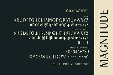 Magnitude font