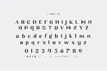 Andhita Serif Font