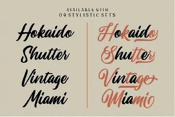 Lastwinter | Vintage Script font