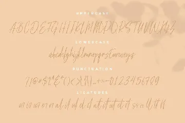 Plutoin Baff Handwritten font