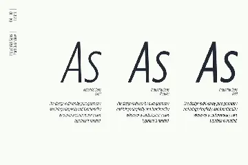 Industrial Sans Typeface font