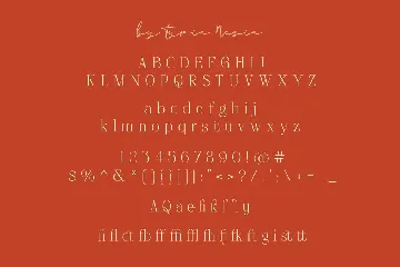 Glow and Gifty - Beauty Elegant Aesthetic Serif font