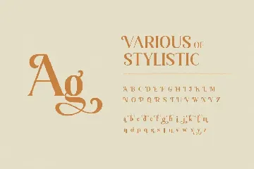 Vintage Serif Font