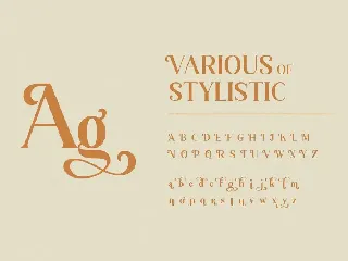 Vintage Serif Font