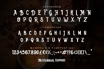 Robusta Fancy Vintage Font