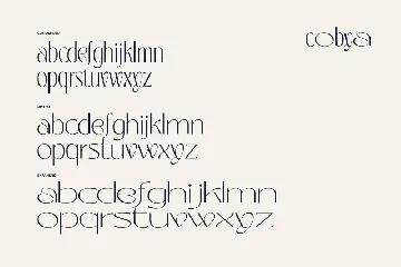 Cobya - Modern Variable Font