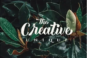 Broyther - Luxury Bold Script font