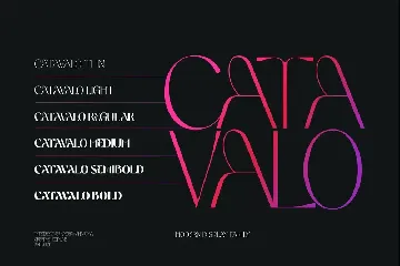 Catavalo - Modern Display Family font