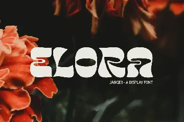 Janger - Display Font