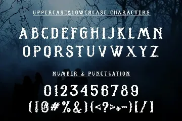 SCARY NIGHT font