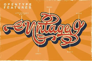 Retro Vintage Script Font